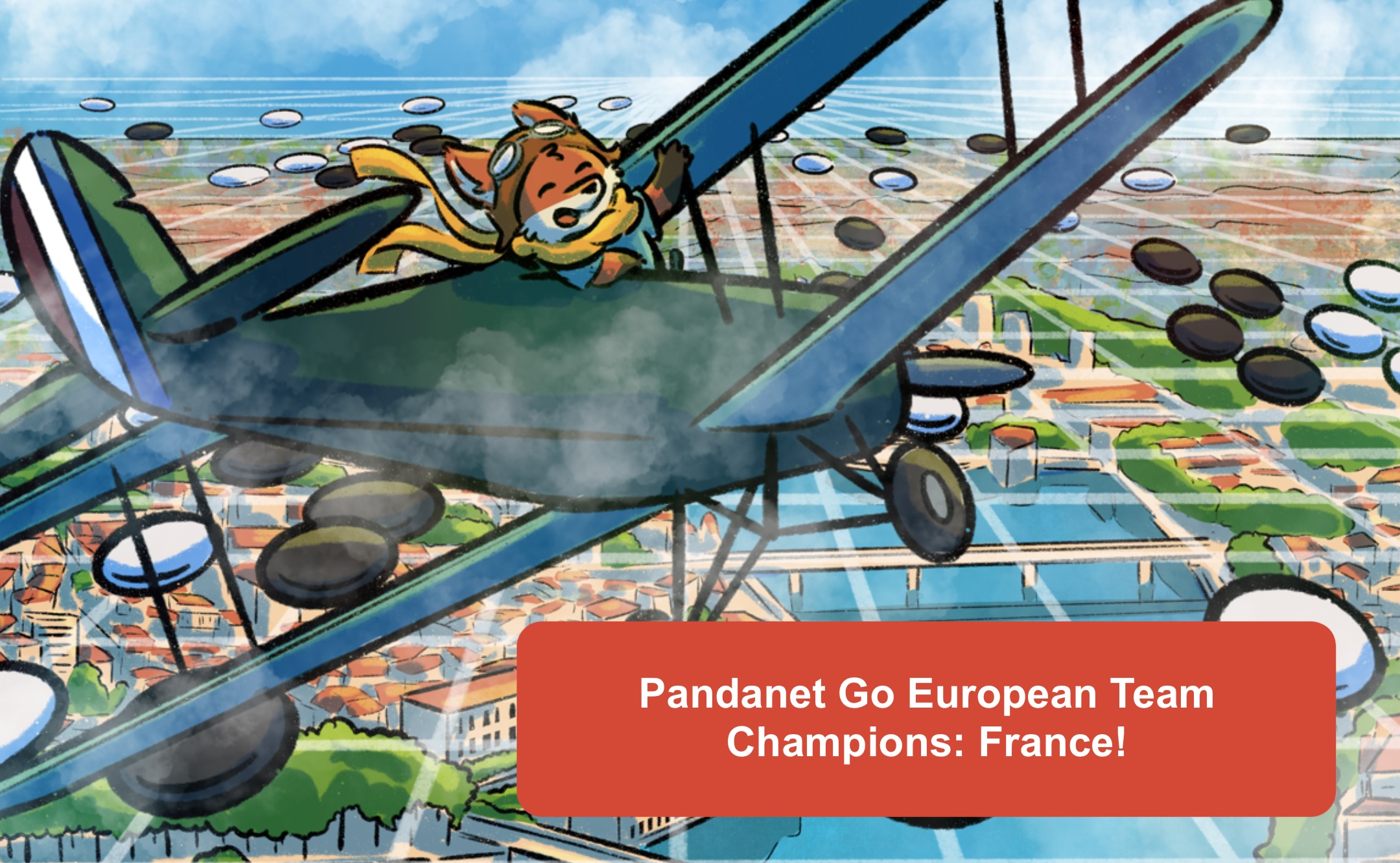 Pandanet Go European Team Champions: France!